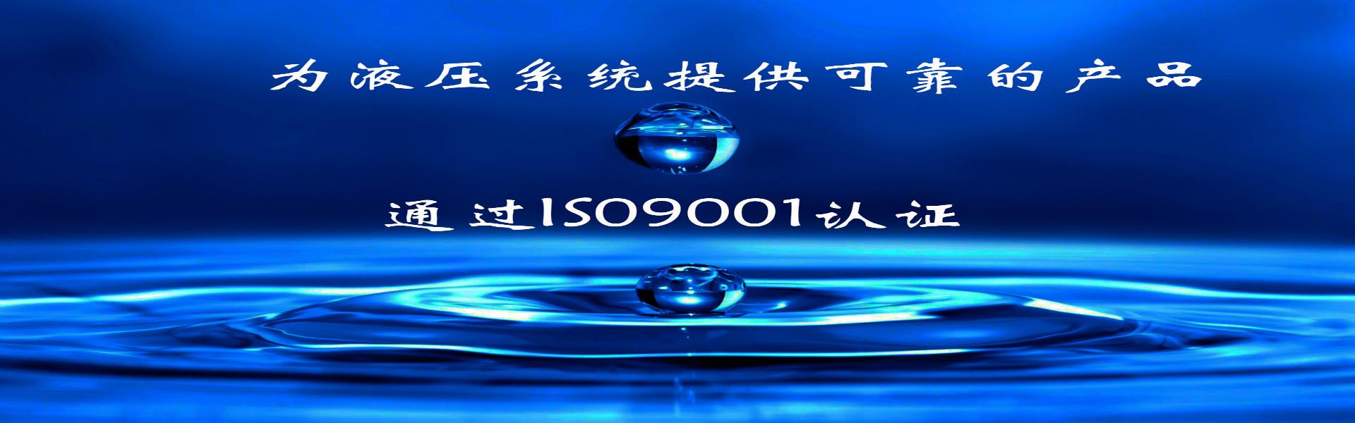 液压过滤器压差范围,液压过滤器压差范围解析与维护要点_液压过滤器_多肉小野猫维密照片在线观看 - 独家写真，揭秘网红私密瞬间​